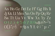 Rooyale - Minimal Modern Stylish, a Serif Font by Qweera Studio (Thumbnail 12 of 12)