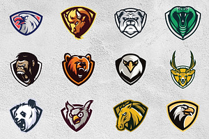 64 ANIMAL HEAD SPORT MASCOT DESIGNS