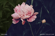 Moody presets for Lightroom + mobile, an Action Add-On by BeArt-Presets (Thumbnail 11 of 18)