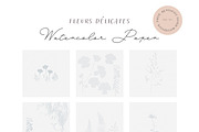 BUNDLE Floral watercolor paper, a Texture Illustration by Anna Sokol (Thumbnail 55 of 71)