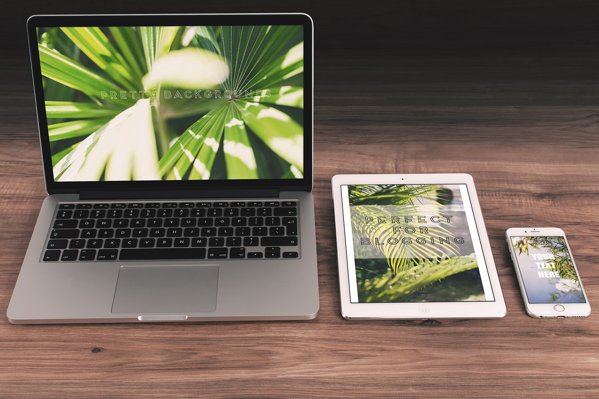 GREEN TROPICAL PLANTS, a Nature Photo by Beach Babe Stock (Photo 4 of 6)