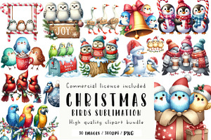 Christmas Birds Sublimation Clipart, an Illustration by CreationArt