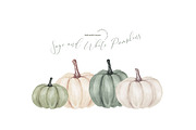 Sage and White Pumpkins Clipart, an Illustration by Sunflower Day Love (Thumbnail 4 of 4)