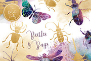 Beetles & Bugs Clipart Set, an Animal Illustration by The Dutch Lady Designs (Thumbnail 1 of 6)