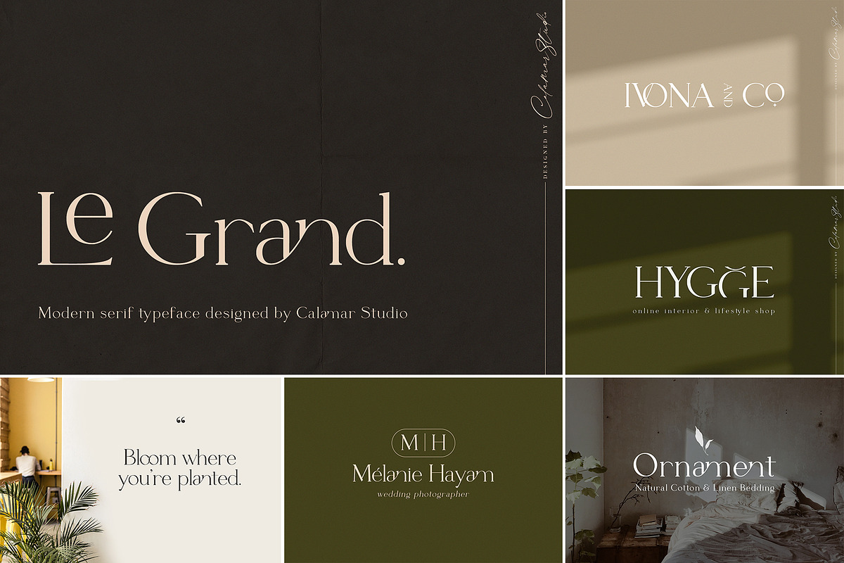 The Sans & Serif Font Bundle | SALE, a Serif Font by Calamar Studio (Photo 10 of 11)