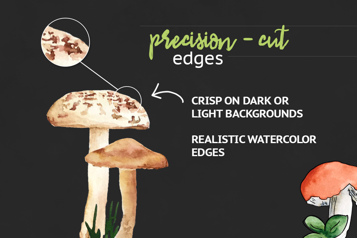 Woodland Mushroom Watercolors, an Illustration by plaidGecko (Photo 5 of 8)