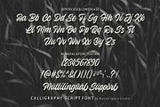 Wilzten – A Stylish Script Font, a Script Font by HanzelSpace Studio (Thumbnail 7 of 7)