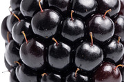 All Fruits Bundle Master Collection, a Food & Drink Photo by FlyeredTemplate (Thumbnail 33 of 130)