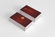 Luxury Business Cards 3 in 1, a Business Card Template by felicidads (Thumbnail 2 of 3)