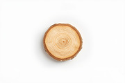 Rustic Wood Slice Vector Clipart Set, an Illustration by BIPLOB EXPERT (Thumbnail 9 of 13)