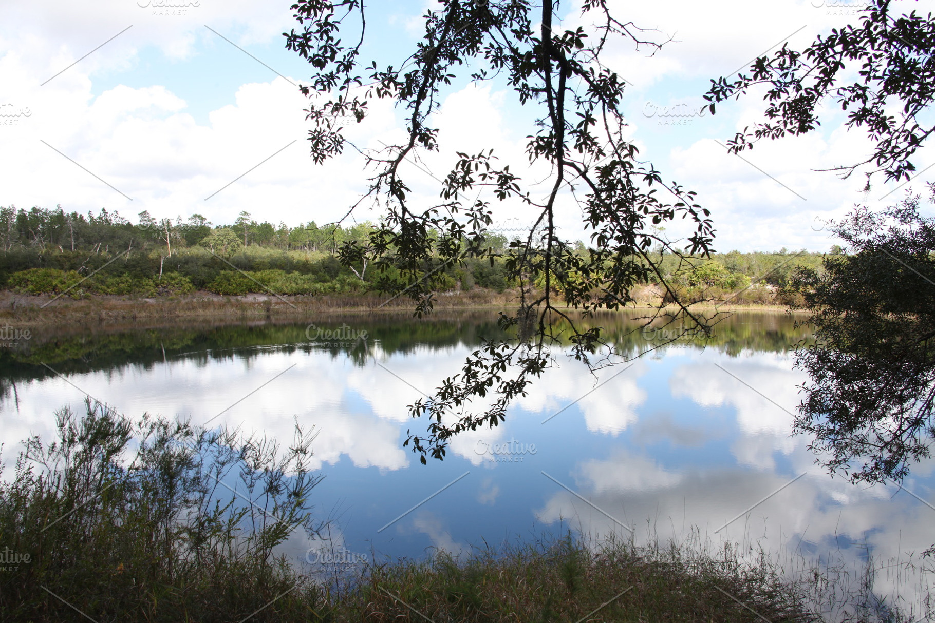 Lake in Gold Head Branch State Park, a Nature Photo by Viktor