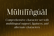 Gloomery - Beauty Luxury Serif Font, a Serif Font by PuriCreative (Thumbnail 6 of 10)