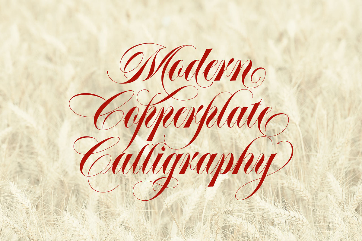 Abella Script, a Handwritten Font by joelmaker (Photo 13 of 15)