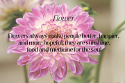Yandrix | Serif Regular & Italic, a Serif Font by Artdez (Thumbnail 3 of 5)