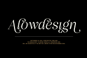 Aveline Radiant, a Serif Font by InkwellTypeCo (Thumbnail 10 of 14)