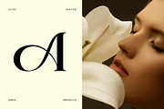 Selasy - New Modern Font, a Serif Font by roomspace creative lab (Thumbnail 3 of 9)