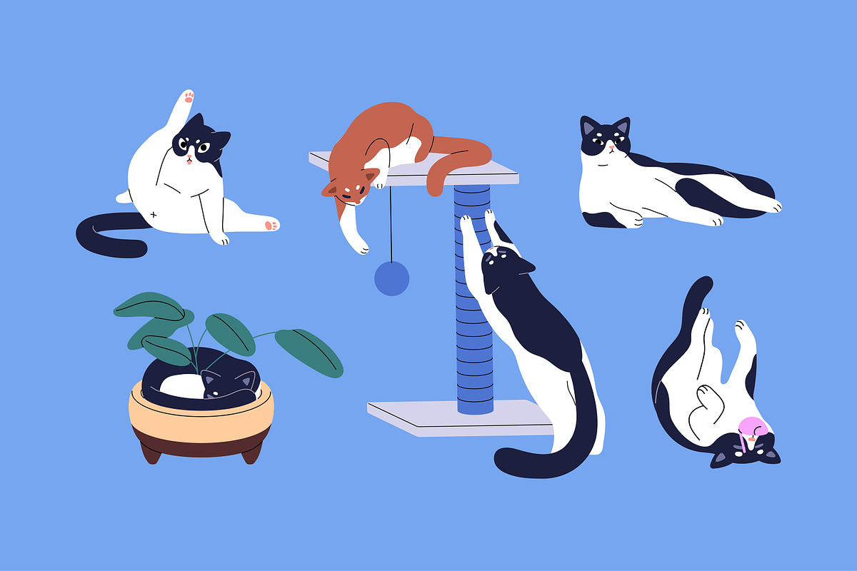Funny cats set, banner, patterns, an Animal Illustration by PaperTrident (Photo 2 of 8)