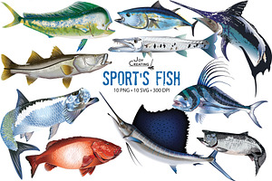 Sports Fish Vector Clipart