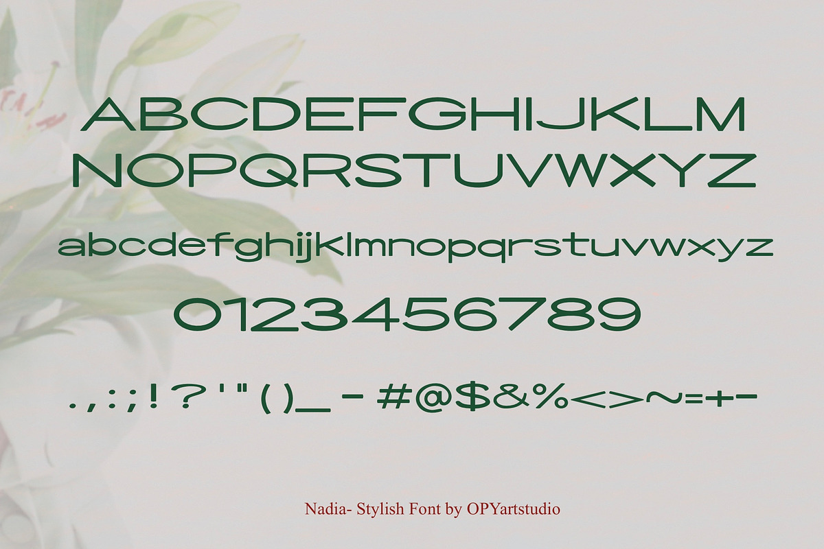Nadia - Stylish Minimalist Sans Font, a Font by OPY ArtStudio (Photo 2 of 5)