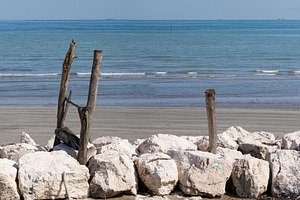 Driftwood on the beach on Pellestrina lagoon, a Nature Photo by Bepslabor