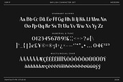 Baylish Modern Branding Serif Font, a Serif Font by RantautypeStudio (Thumbnail 11 of 15)
