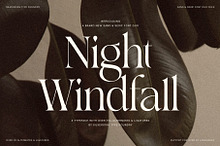 SLTF Night Windfall - Font Duo