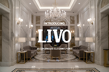 Livo | Elegant Minimalist Sans Serif