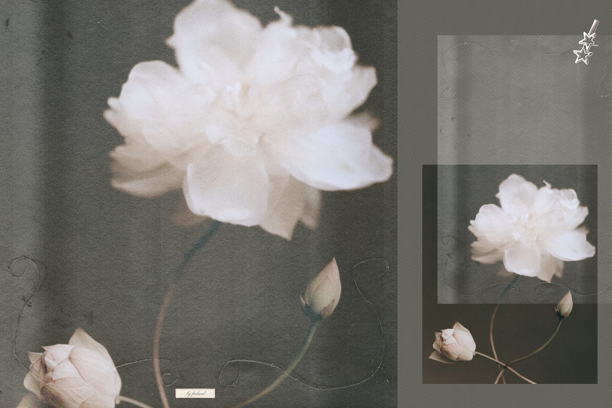 Carved Paper Texture Overlays, a Texture Graphic by Feelsoul (Photo 7 of 31)