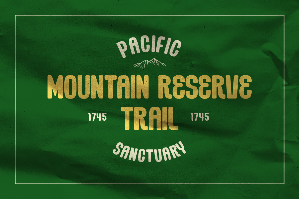 Clover Condensed  - Elegant Modern, a Sans Serif Font by roomspace creative lab (Photo 6 of 12)