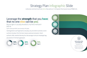 Strategy Plan PowerPoint Slides