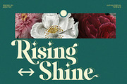 Agitan Display Font, a Serif Font by Areatype (Thumbnail 10 of 11)