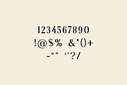 Methadone Modern Serif Font, a Serif Font by UICreative (Thumbnail 3 of 13)