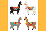 Alpaca clip art, an Animal Illustration by pet design shop (Thumbnail 2 of 5)
