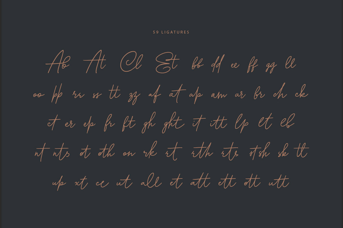 Bonita Melodia Script, a Script Font by Andrey Sharonov (Photo 12 of 13)