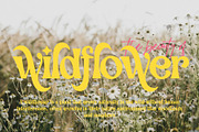 Blink Omega - Swash Serif Font, a Serif Font by Airotype (Thumbnail 5 of 14)