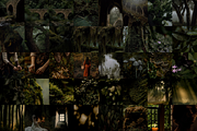 Darkwood Aesthetic Video Bundle, a Social Media Template by The Flossy Finch (Thumbnail 19 of 24)