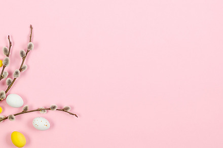 Easter Colorful candy chocolate eggs and brunch willow on pastel, a Holiday Photo by vimart