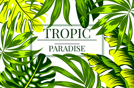 Tropical seamless patterns & leaves
