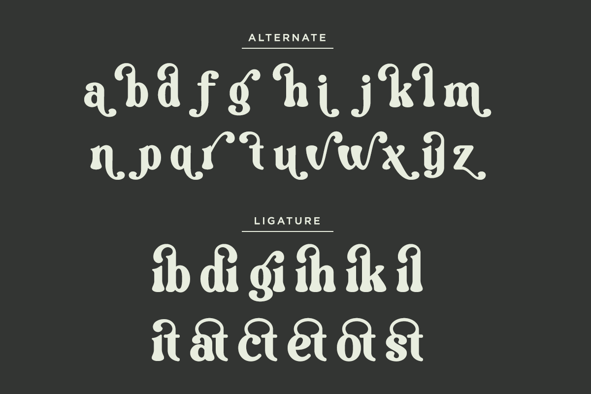 Vilmely Story - Retro Elegant Font, a Serif Font by Font Liner (Photo 12 of 13)