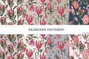 Watercolor Protea Floral Elements, a Decorative Illustration by Damian Roh (Thumbnail 11 of 12)