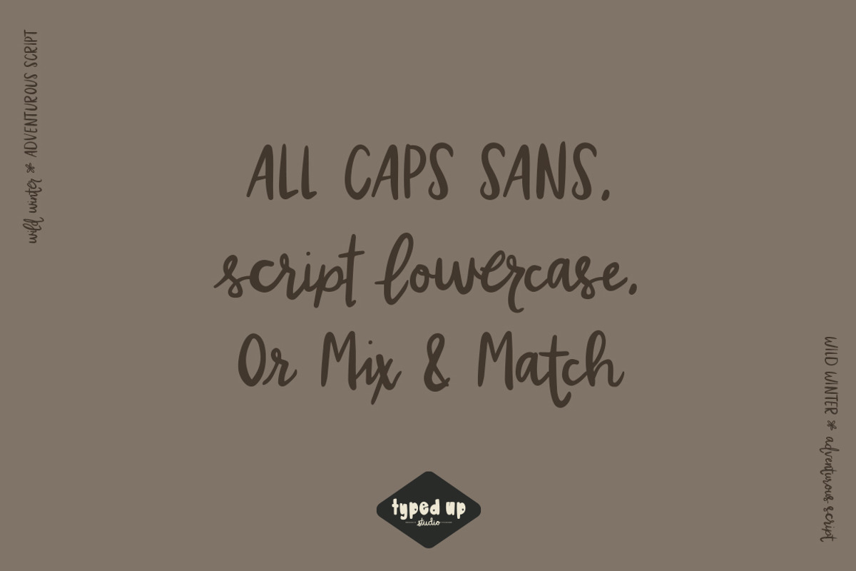 Wild Winter | Extensive Script Font, a Script Font by Typed Up Studio (Photo 10 of 16)