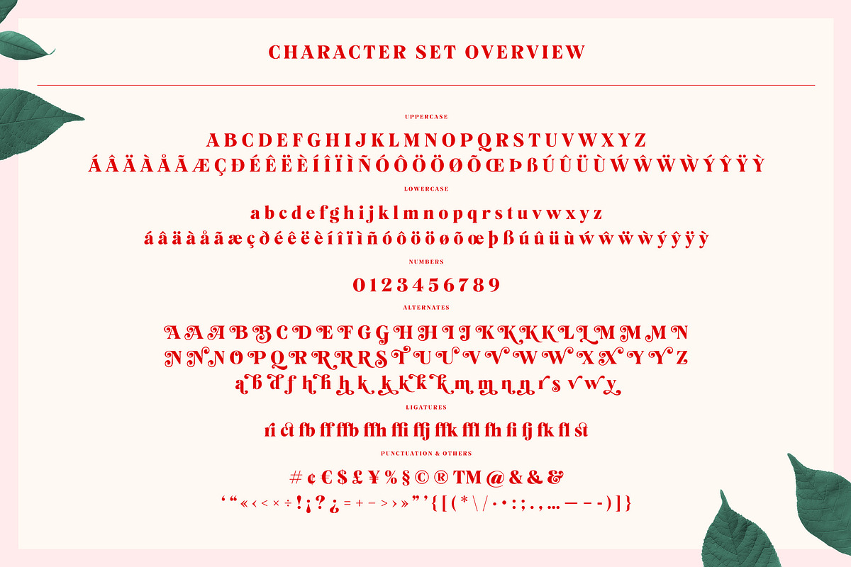 Mogan Serif Font + Extras, a Font by Heritage Type Co. (Photo 15 of 16)