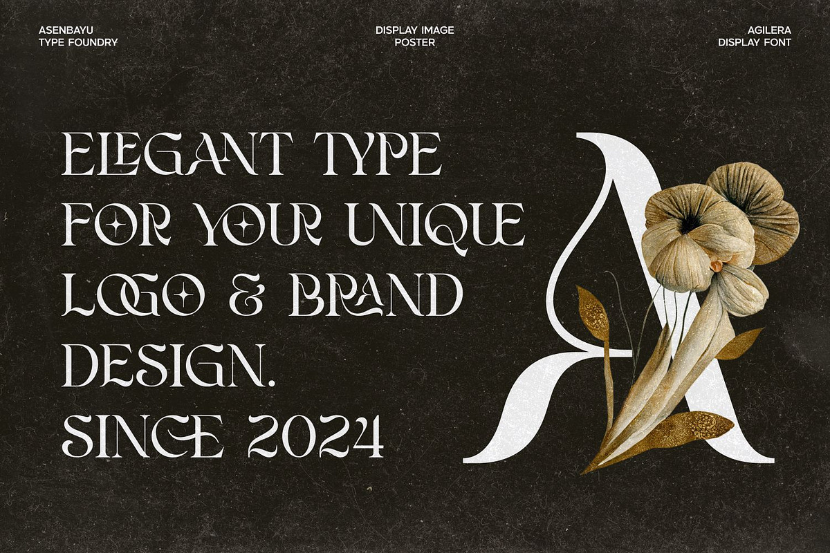 Agilera - Stylish Ligature Font, a Serif Font by Asenbayu (Photo 3 of 15)