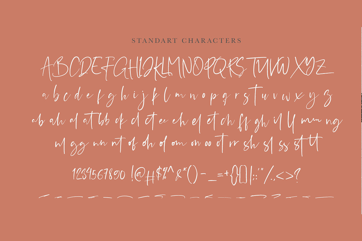 Sylist Script Font, a Script Font by Analogous (Photo 7 of 8)