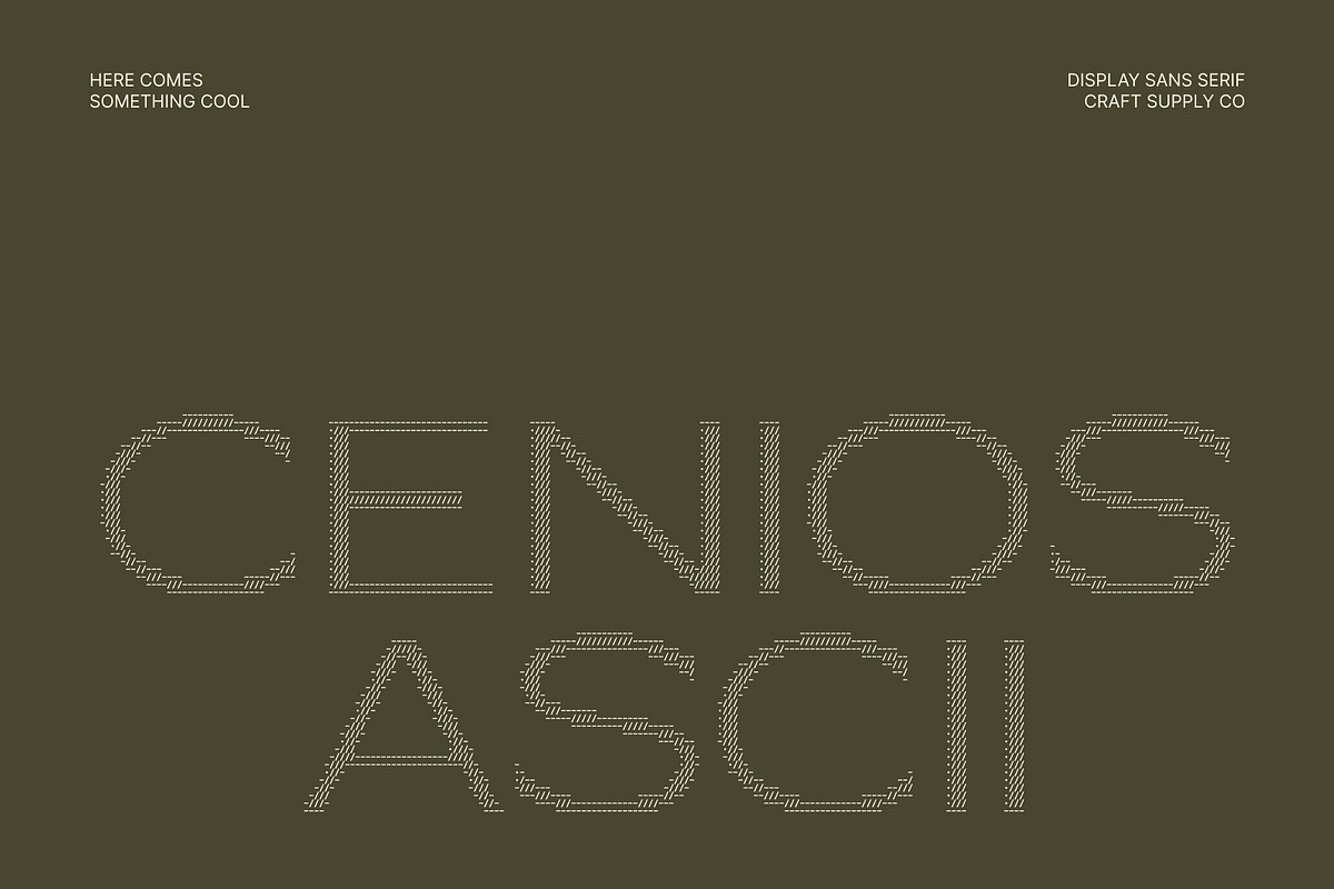 Cenios Ascii, a Sans Serif Font by Craft Supply Co. (Photo 1 of 8)