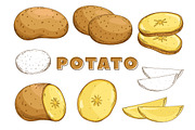 Vegetables in the Vintage Style, a Healthcare Illustration by Alfazet Chronicles (Thumbnail 3 of 15)