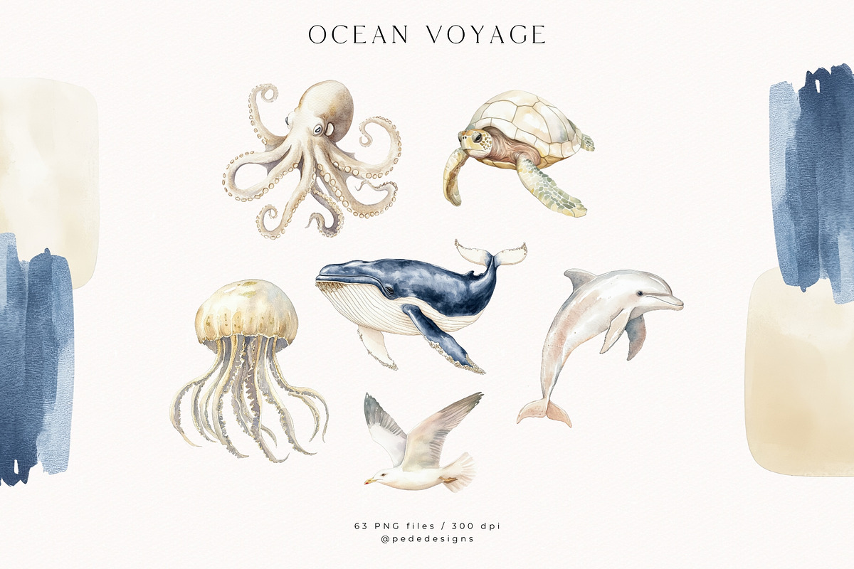 Ocean Voyage Collection, a Decorative Illustration by PeDe Designs (Photo 5 of 26)