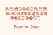 Horizon Path – Modern Serif Font, a Serif Font by Hakara Type (Thumbnail 9 of 14)