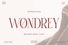 Wondrey - Modern Elegant Branding