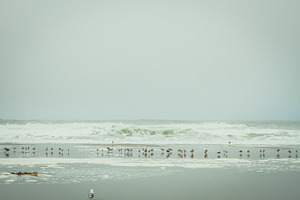At the beach containing beach, sand, and ocean
